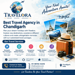 Travelora – Best Travel Agency in Chandigarh for Memorable Holidays (1)