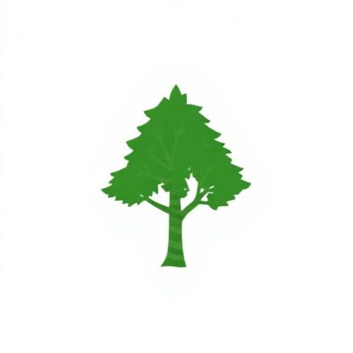 favicon favicon