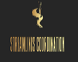 logo 160