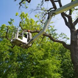 Concrete contractor in Appling GA (4)