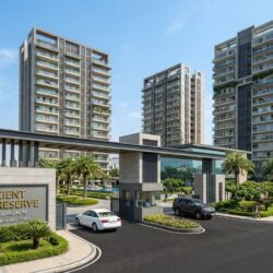 conscient elevate reserve