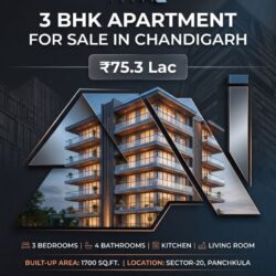 3 BHK Flats For Sale in Panchkula (anand infra) 545 (1)