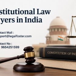 Constitutional Law Services in India