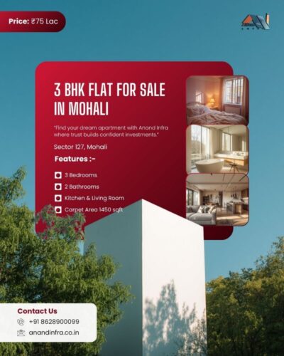 3 BHK Flats for sale in Mohali (Anand Infra) 56496546 (1) 3 BHK Flats for sale in Mohali (Anand Infra) 56496546 (1)